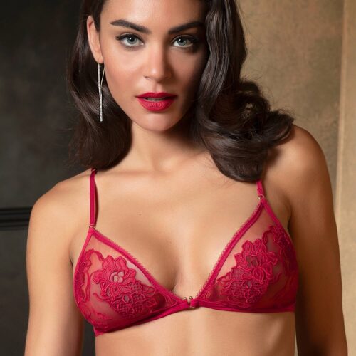 LISE CHARMEL SUJETADOR SIN AROS "ADORABLE EN SEXY"